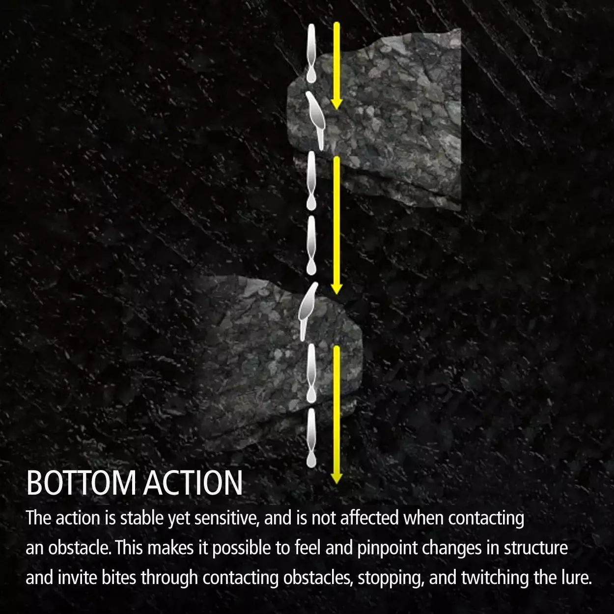 Shimano Bantam Pavlo Shad - Image 4