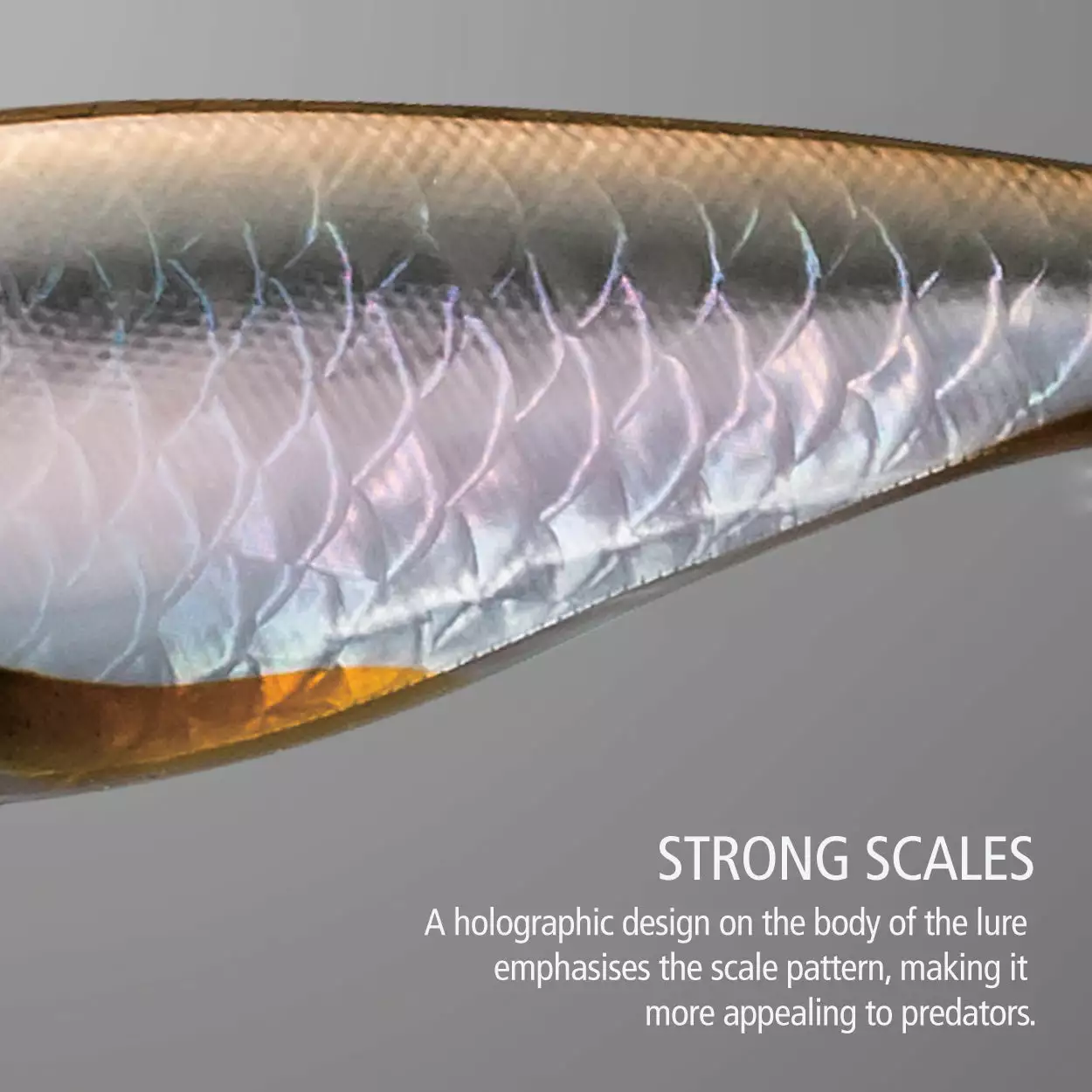 Shimano Bantam Pavlo Shad - Image 5