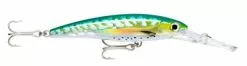 Rapala X Rap Magnum