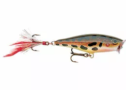 Rapala Skitter Popper - Image 3